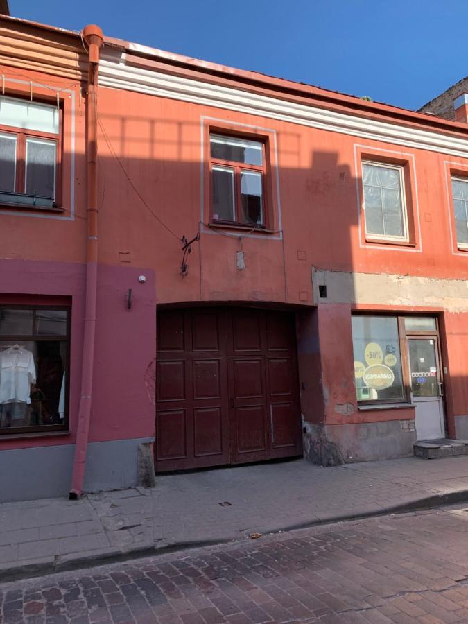 Old Studio Apartment Vilnius Eksteriør bilde